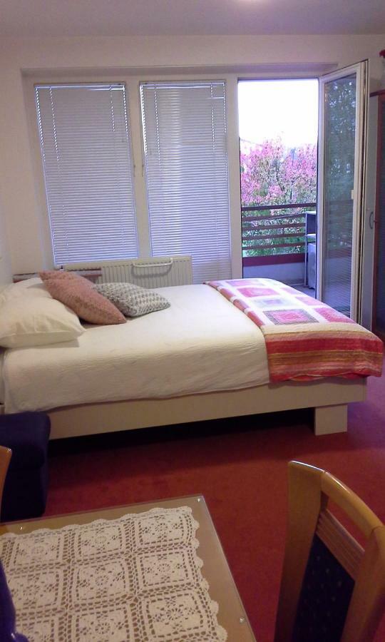 Apartment Maja 摩拉瓦托普利采 外观 照片